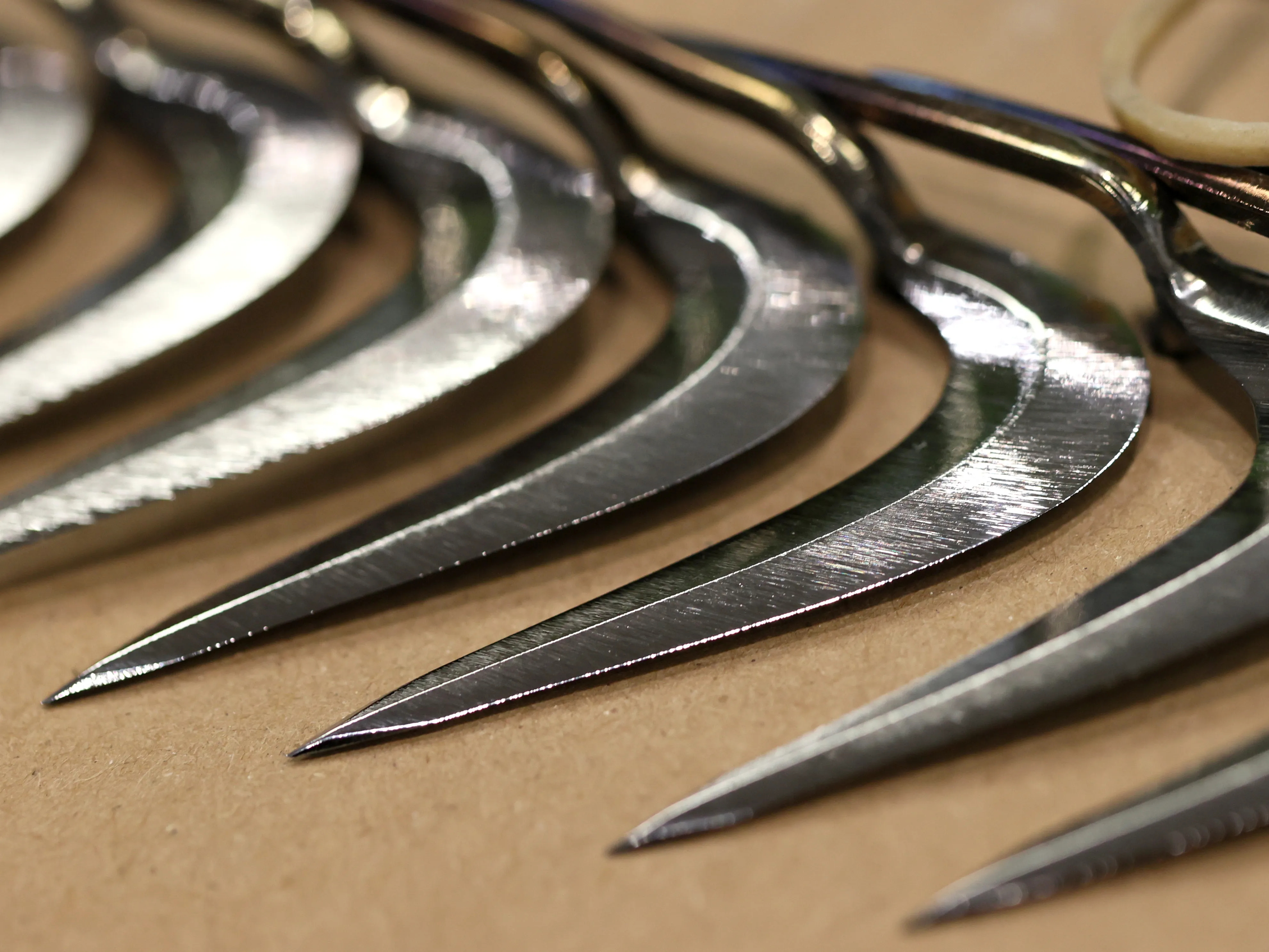 bcafc5d0-1a95-4f60-b48f-c875c67c3968-Cock_spur_1_看图王.web